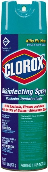 Disinfectant: 19 oz, Aerosol, Disinfectant
