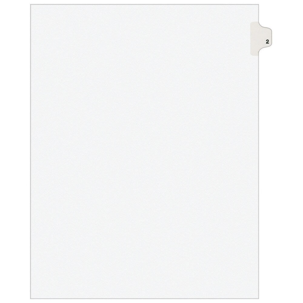 11 x 8 1/2" 2" Label, 25 Tabs, Unpunched, Preprinted Tab Dividers