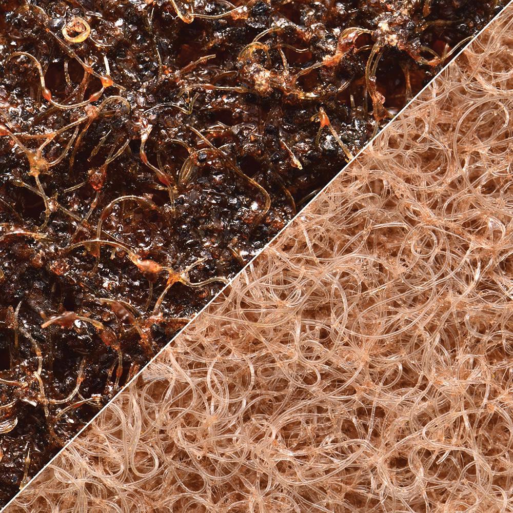 Abrasive Belt: 3" Wide, 19" OAL, Aluminum Oxide