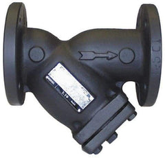 Legend Valve - 2-1/2" Pipe, Flanged Ends, Cast Iron Y-Strainer - 200 psi WOG Rating, 150 psi WSP Rating - USA Tool & Supply