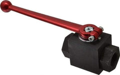HYDAC - 3/4" Pipe, Carbon Steel Standard Ball Valve - 1 Piece, FNPT x FNPT Ends, Lever Handle, 5,000 WOG - USA Tool & Supply