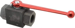 HYDAC - 1" Pipe, Carbon Steel Standard Ball Valve - 1 Piece, FNPT x FNPT Ends, Lever Handle, 6,000 WOG - USA Tool & Supply