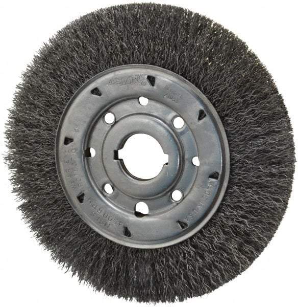 Osborn - 8" OD, 1-1/4" Arbor Hole, Crimped Steel Wheel Brush - 5/8" Face Width, 1-1/2" Trim Length, 0.014" Filament Diam, 4,500 RPM - USA Tool & Supply