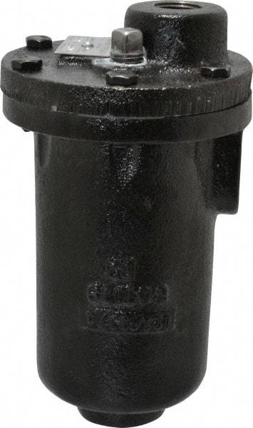 Hoffman Speciality - 3/4" NPT Inlet, 1/2" NPT Outlet, 250 Max psi, Cast Iron Water Vent - 350 Max Hydrostatic psi, 300°F Max - USA Tool & Supply