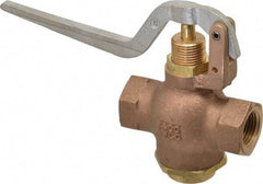 Kingston - 1/2" Pipe, 400 Max psi, Buna N Disc, Self Closing Control Valve - Squeeze Lever, FNPT x FNPT End Connections - USA Tool & Supply
