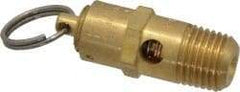 Kingston - 1/4" Inlet, ASME Safety Relief Valve - 100 Max psi, Brass - USA Tool & Supply