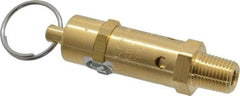 Kingston - 1/4" Inlet, ASME Safety Relief Valve - 50 Max psi, Brass - USA Tool & Supply