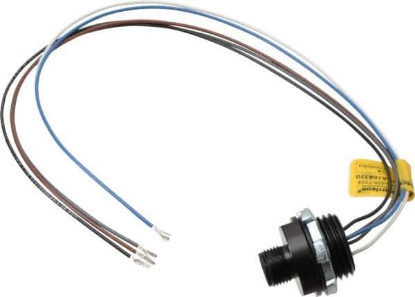 Brad Harrison - 4 Amp, M12 Male Straight Receptacle - 250 VAC/VDC, 0.31m Cable Length, IP67 Ingress Rating - USA Tool & Supply