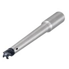 MM S-D-L190-C20-T10-W-H FACE MILL - USA Tool & Supply