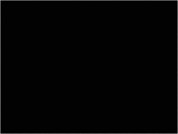 Tape Logic - 4" Long, Black Paper Inventory Labels - For Multi-Use - USA Tool & Supply