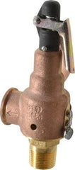 Midwest Control - 3/4" Inlet, 3/4" Outlet, ASME Safety Relief Valve - 150 Max psi, Bronze, 350 Cubic' per Min - USA Tool & Supply