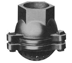 Value Collection - 2-1/2" Hose, Foot Valve - Cast Iron - USA Tool & Supply