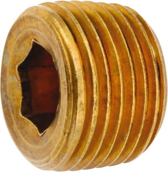 ANDERSON METALS - 1/2-14 Male Thread, Lead Free Brass Industrial Pipe Hollow Hex Plug - MNPT, 1,000 psi - USA Tool & Supply