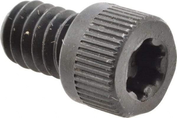 Camcar - 1/4-20 UNC Torx Plus Drive, Socket Cap Screw - Alloy Steel, Black Oxide Finish, Fully Threaded, 3/8" Length Under Head - USA Tool & Supply
