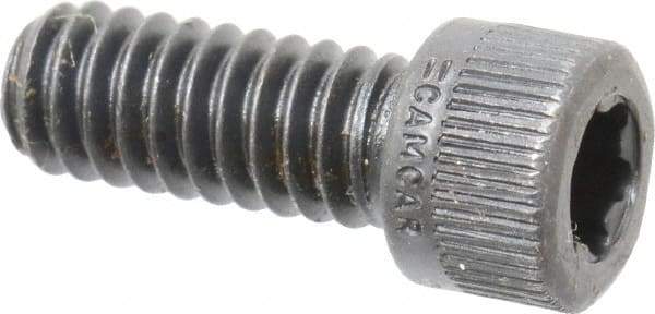 Camcar - 1/4-20 UNC Torx Plus Drive, Socket Cap Screw - Alloy Steel, Black Oxide Finish, Fully Threaded, 5/8" Length Under Head - USA Tool & Supply