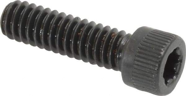 Camcar - 1/4-20 UNC Torx Plus Drive, Socket Cap Screw - Alloy Steel, Black Oxide Finish, Fully Threaded, 7/8" Length Under Head - USA Tool & Supply
