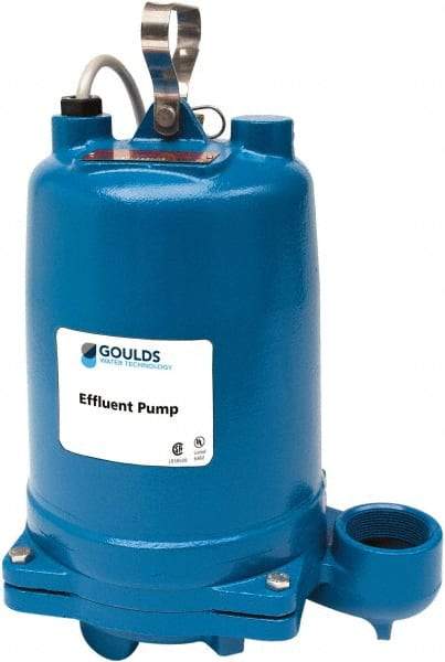 Goulds Pumps - 1 hp, 200 Amp Rating, 200 Volts, Single Speed Continuous Duty Operation, Effluent Pump - 3 Phase, Cast Iron Housing - USA Tool & Supply
