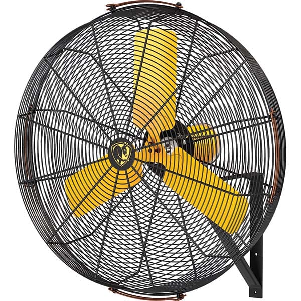 Big Ass Fans - AirEye 30" OAW Fan - USA Tool & Supply