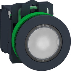 Pushbutton Switches; Mounting Hole Diameter (mm): 30.00; Switch Type: Push-Button Switches with Contact Blocks; Terminal Type: Screw Clamp; Amperage: 10; Voltage: 24V; Operator Illumination: Illuminated