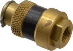 Coilhose Pneumatics - 1/8" Pipe, FNPT x FNPT, Brass Lockout Valve - 150 Max psi, Brass Sleeve - USA Tool & Supply