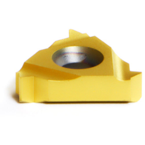 16 IR AG55 P25C THREADING INSERT - USA Tool & Supply