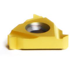 16 IR AG55 P25C THREADING INSERT - USA Tool & Supply
