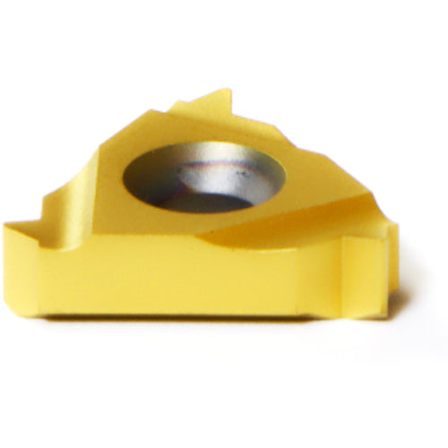 16 ER Z 12 UN MXC THREADING INSERT - USA Tool & Supply