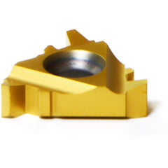 16 IR 6 ST ACME P25C THRD INSERT - USA Tool & Supply