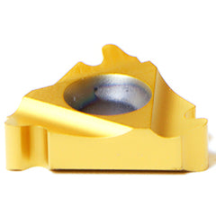 16 IR 10 API RD MXC THRD INSERT - USA Tool & Supply