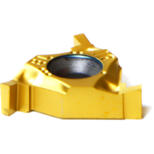 16 IR/EL 1.70 BXC METRIC - USA Tool & Supply