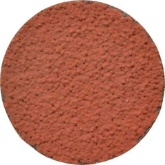 3M - 2" Disc Diam, 36 Grit, Ceramic Quick Change Disc - Type R Attaching System, Coated, Orange, Very Coarse Grade, 25,000 RPM, 777F Series - USA Tool & Supply