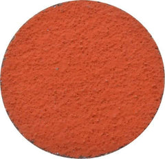 3M - 3" Disc Diam, 36 Grit, Ceramic Quick Change Disc - Type R Attaching System, Coated, Orange, Very Coarse Grade, 20,000 RPM, 777F Series - USA Tool & Supply