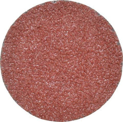 3M - 2" Disc Diam, 36 Grit, Ceramic Quick Change Disc - Type R Attaching System, Coated, Brown, Very Coarse Grade, 25,000 RPM, 963G Series - USA Tool & Supply