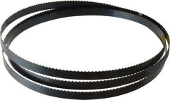 Starrett - 6 TPI, 6' 9" Long x 1/2" Wide x 0.025" Thick, Welded Band Saw Blade - Carbon Steel, Toothed Edge, Raker Tooth Set, Flexible Back, Contour Cutting - USA Tool & Supply