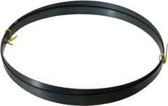 Starrett - 10 TPI, 10' Long x 3/4" Wide x 0.032" Thick, Welded Band Saw Blade - Carbon Steel, Toothed Edge, Raker Tooth Set, Flexible Back, Contour Cutting - USA Tool & Supply