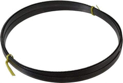 Starrett - 10/S TPI, 19' 6" Long x 5/8" Wide x 0.032" Thick, Welded Band Saw Blade - Carbon Steel, Toothed Edge, Raker Tooth Set, Flexible Back, Contour Cutting - USA Tool & Supply
