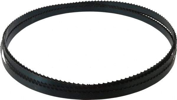 Starrett - 3 TPI, 19' 8" Long x 3/4" Wide x 0.032" Thick, Welded Band Saw Blade - Carbon Steel, Toothed Edge, Raker Tooth Set, Flexible Back, Contour Cutting - USA Tool & Supply