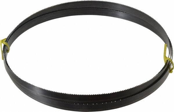 Starrett - 10 TPI, 8' 2-1/2" Long x 5/8" Wide x 0.032" Thick, Welded Band Saw Blade - Carbon Steel, Toothed Edge, Raker Tooth Set, Flexible Back, Contour Cutting - USA Tool & Supply