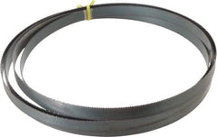 Starrett - 10 TPI, 14' 6" Long x 3/4" Wide x 0.032" Thick, Welded Band Saw Blade - Carbon Steel, Toothed Edge, Raker Tooth Set, Flexible Back, Contour Cutting - USA Tool & Supply