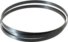 Starrett - 10 TPI, 6' 8" Long x 1/2" Wide x 0.025" Thick, Welded Band Saw Blade - Carbon Steel, Toothed Edge, Raker Tooth Set, Flexible Back, Contour Cutting - USA Tool & Supply