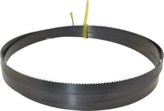 Starrett - 10 TPI, 5' 5" Long x 1/2" Wide x 0.025" Thick, Welded Band Saw Blade - Carbon Steel, Toothed Edge, Raker Tooth Set, Flexible Back, Contour Cutting - USA Tool & Supply
