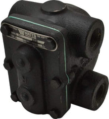 Watts - 4 Port, 3/4" Pipe, Cast Iron Float & Thermostatic Steam Trap - 15 Max psi - USA Tool & Supply