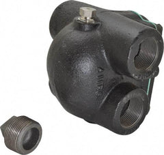 Watts - 4 Port, 1-1/4" Pipe, Cast Iron Float & Thermostatic Steam Trap - 30 Max psi - USA Tool & Supply