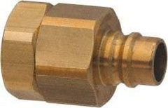 Parker - 1-1/4 Thread Brass Hydraulic Hose Valved Coupler - 350 psi, 120 GPM - USA Tool & Supply