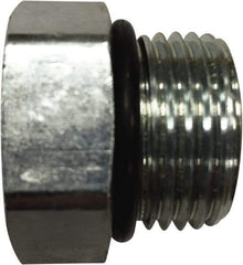 Parker - 2-1/2 Male Thread, Steel Industrial Pipe Hex Head Plug - Male SAE-ORB, 2,000 psi - USA Tool & Supply