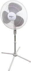 Comfort Zone - 16" Blade, 445 Max CFM, Standing Fan - 0.42 Amps, 120 Volts, 3 Speed - USA Tool & Supply