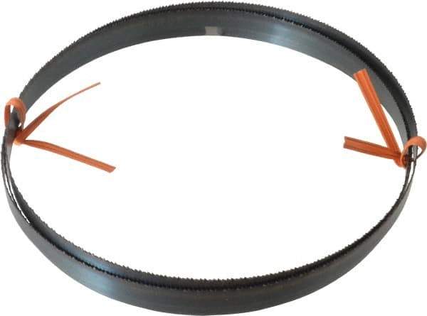 Disston - 14 TPI, 6' 8" Long x 1/2" Wide x 0.025" Thick, Welded Band Saw Blade - Carbon Steel, Toothed Edge, Raker Tooth Set, Flexible Back, Contour Cutting - USA Tool & Supply