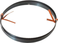 Disston - 14 TPI, 6' 8" Long x 1/2" Wide x 0.025" Thick, Welded Band Saw Blade - Carbon Steel, Toothed Edge, Raker Tooth Set, Flexible Back, Contour Cutting - USA Tool & Supply