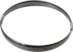 Disston - 6 TPI, 6' 9" Long x 1/2" Wide x 0.025" Thick, Welded Band Saw Blade - Carbon Steel, Toothed Edge, Raker Tooth Set, Flexible Back, Contour Cutting - USA Tool & Supply