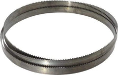 Disston - 6 TPI, 7' 9" Long x 3/4" Wide x 0.032" Thick, Welded Band Saw Blade - Carbon Steel, Toothed Edge, Raker Tooth Set, Flexible Back, Contour Cutting - USA Tool & Supply